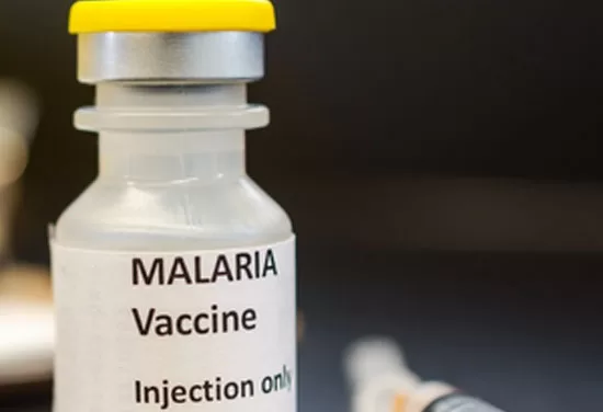 Global Malaria Crisis: Experts Warn of Rising Deaths Despite Vaccine Breakthroughs