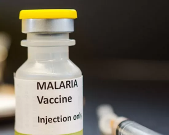 Novel Class of Anti-Malaria Antibodies Could Revolutionize Disease Prevention