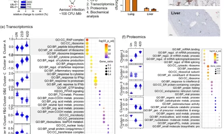 Study Unveils How Tuberculosis Alters Liver Metabolism, Potentially Promoting Diabetes