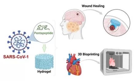 Magic recipes to create hydrogels from viral protein fragments can improve drug delivery