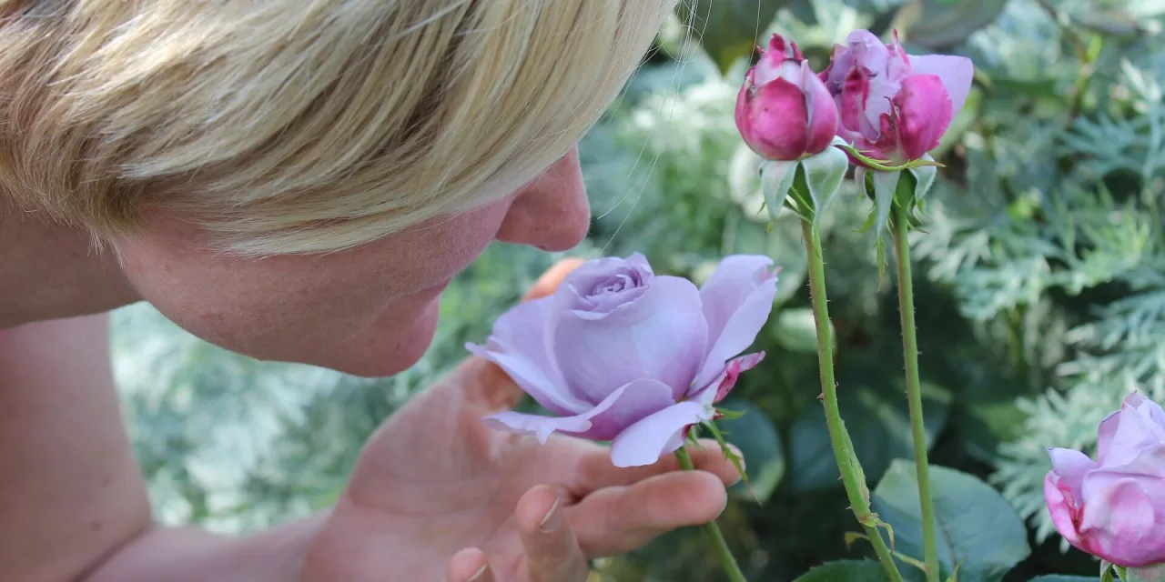 Smell Loss Linked to Over 100 Diseases: Groundbreaking Study Reveals Alarming Connection