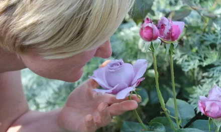 Smell Loss Linked to Over 100 Diseases: Groundbreaking Study Reveals Alarming Connection