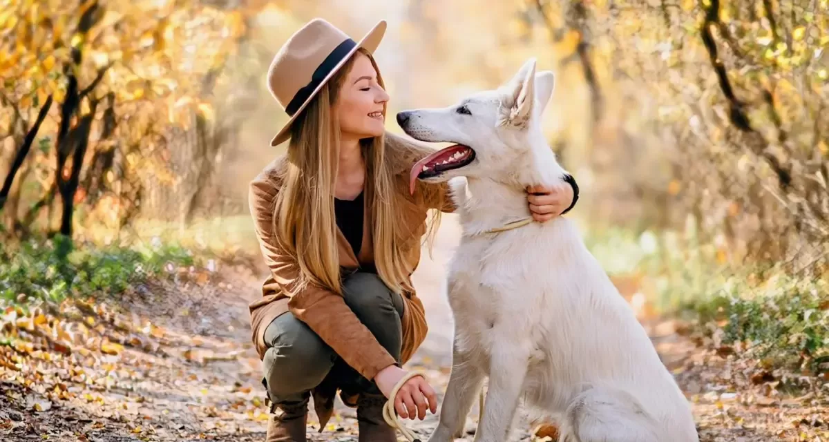 The Unique Language of Dogs: How Our Speech Changes to Communicate Better