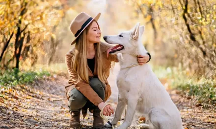 Therapy Dogs on Campus Help Students Manage Stress and Anxiety