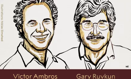 “Victor Ambros and Gary Ruvkun Awarded 2024 Nobel Prize in Medicine for Discovery of microRNA and Its Role in Gene Regulation”