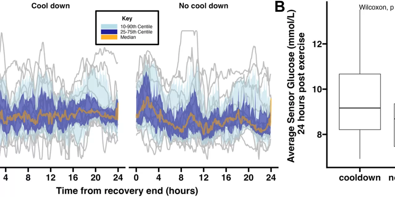 New Study Suggests Innovative Approach to Managing Blood Sugar in Type 1 Diabetes Post-Exercise