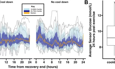 New Study Suggests Innovative Approach to Managing Blood Sugar in Type 1 Diabetes Post-Exercise