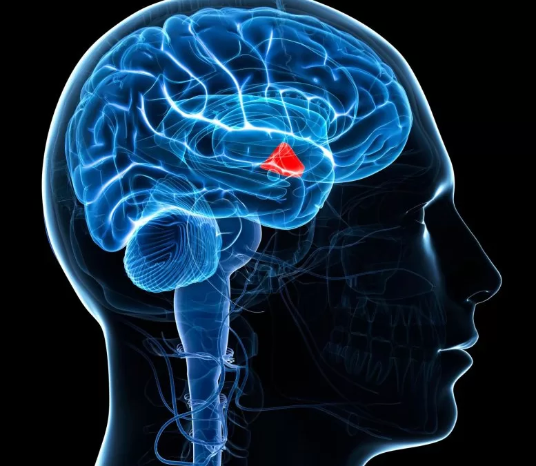 The Silent Multiplier: Why Experts Are Now Linking Climate Change to Stroke Risk