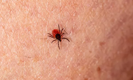 New Virus Discovered in China—A Sign of Rising Tick-Borne Diseases?