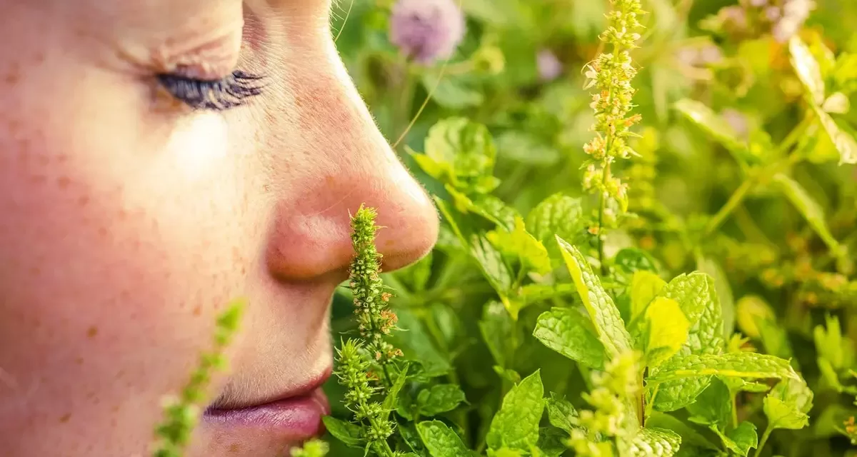 The Power of Smell: New Study Reveals Our Olfactory System Works Faster Than a Blink