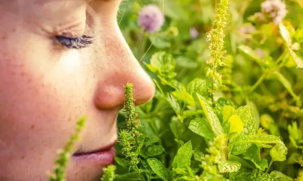 The Power of Smell: New Study Reveals Our Olfactory System Works Faster Than a Blink