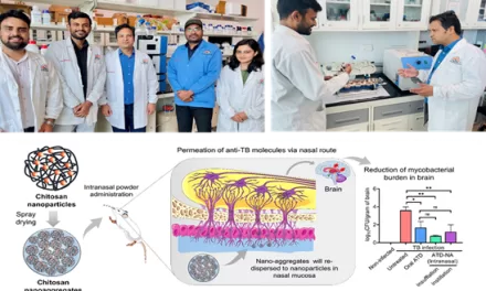 Unique Drug Delivery Method to Improve Treatment of Brain Tuberculosis