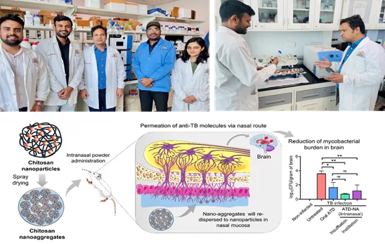 Unique Drug Delivery Method to Improve Treatment of Brain Tuberculosis