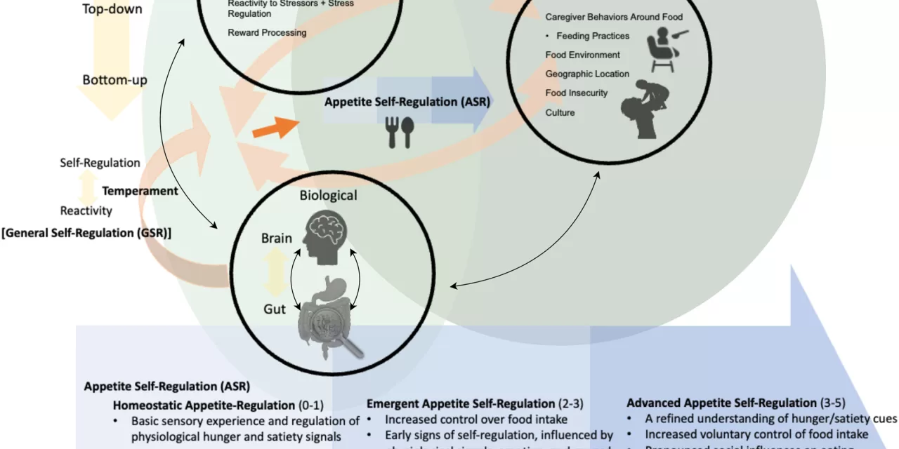 Unlocking the Secrets of Childhood Appetite: How Children Learn to Regulate Eating Behavior