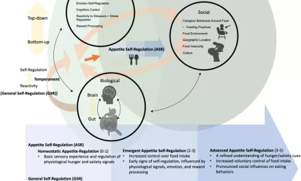 Unlocking the Secrets of Childhood Appetite: How Children Learn to Regulate Eating Behavior