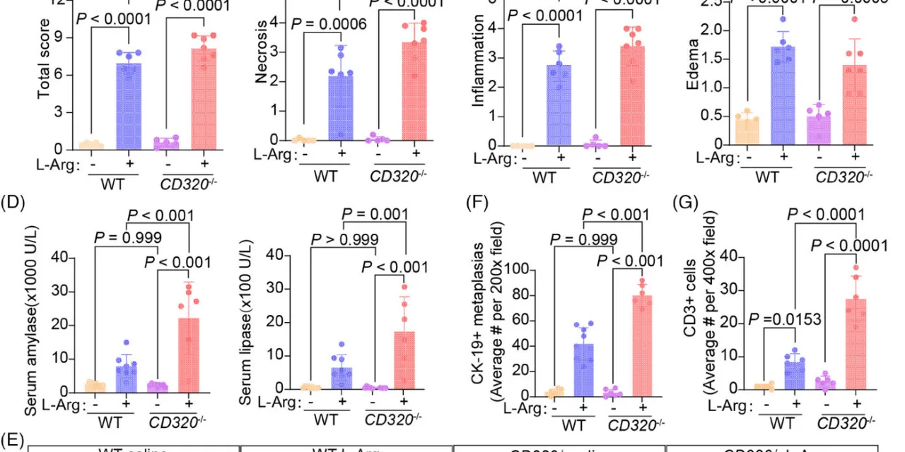 Vitamin B12 Emerges as a Potential Therapeutic Agent for Acute Pancreatitis Treatment