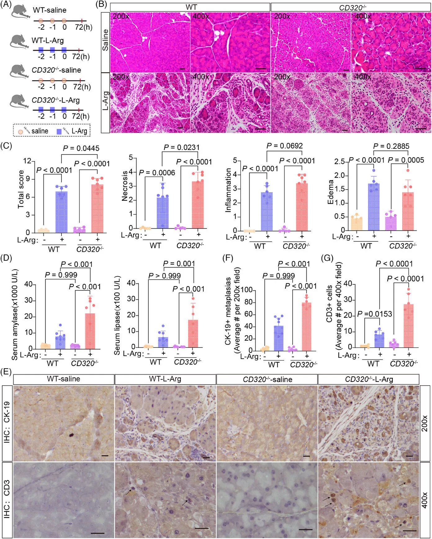 Vitamin B12 Emerges As A Potential Therapeutic Agent For Acute Vitamin b12 emerges as a potential therapeutic agent for acute