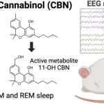 First Scientific Evidence Shows Cannabinol (CBN) Effectively Improves Sleep