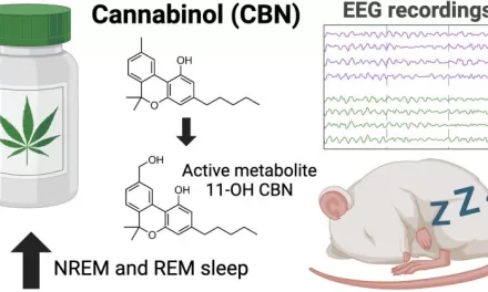 First Scientific Evidence Shows Cannabinol (CBN) Effectively Improves Sleep