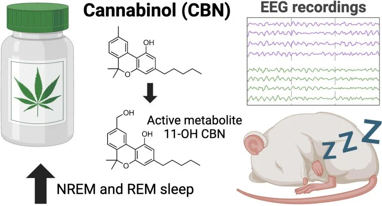 First Scientific Evidence Shows Cannabinol (CBN) Effectively Improves Sleep