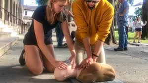 New Research Suggests CPR Training Manikins with Breasts Could Help Close Gender Gap in Life-Saving Interventions