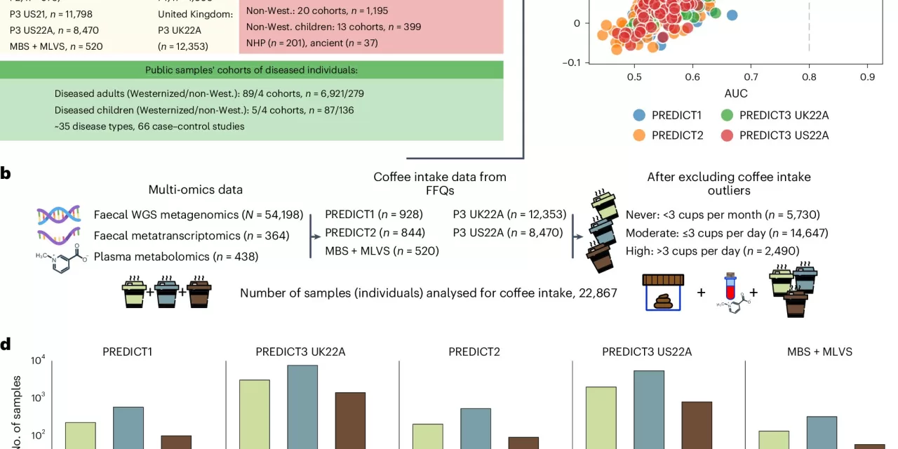 Coffee Drinking Habits Found to Significantly Influence Gut Microbiome Composition