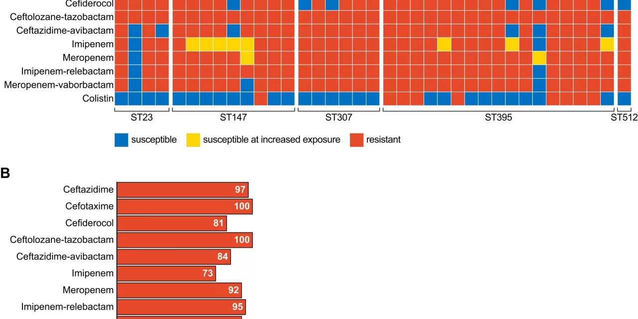 War-Wounded in Ukraine Harbor Deadly, Antibiotic-Resistant Bacteria, Study Reveals