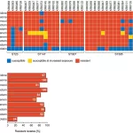 War-Wounded in Ukraine Harbor Deadly, Antibiotic-Resistant Bacteria, Study Reveals