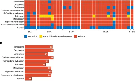 War-Wounded in Ukraine Harbor Deadly, Antibiotic-Resistant Bacteria, Study Reveals