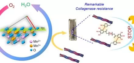 Nanozymes Revolutionize Biomaterials for Biomedical Breakthroughs