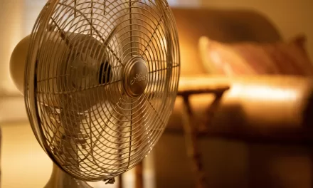 Fan Use and Skin Wetting Reduce Cardiac Strain in Hot, Humid Weather, New Research Shows