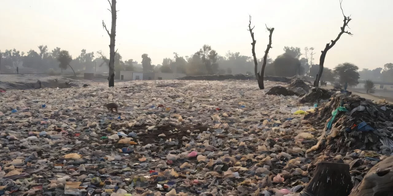 Garbage Dumps: The Next Pandemic Threat, Warns Epidemiologists