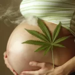 Prenatal Cannabis Use May Cause Cognitive Challenges and Aggression in Children