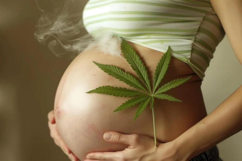 Prenatal Cannabis Use May Cause Cognitive Challenges and Aggression in Children