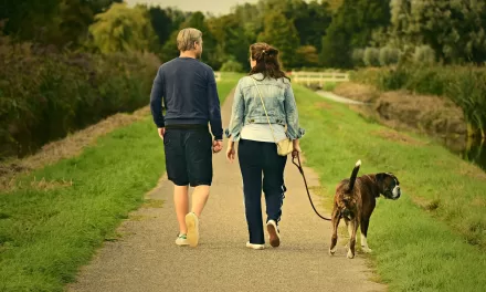 Simple Daily Walk Could Be Key to Preventing Major Diseases, Says Leading Cardiologist