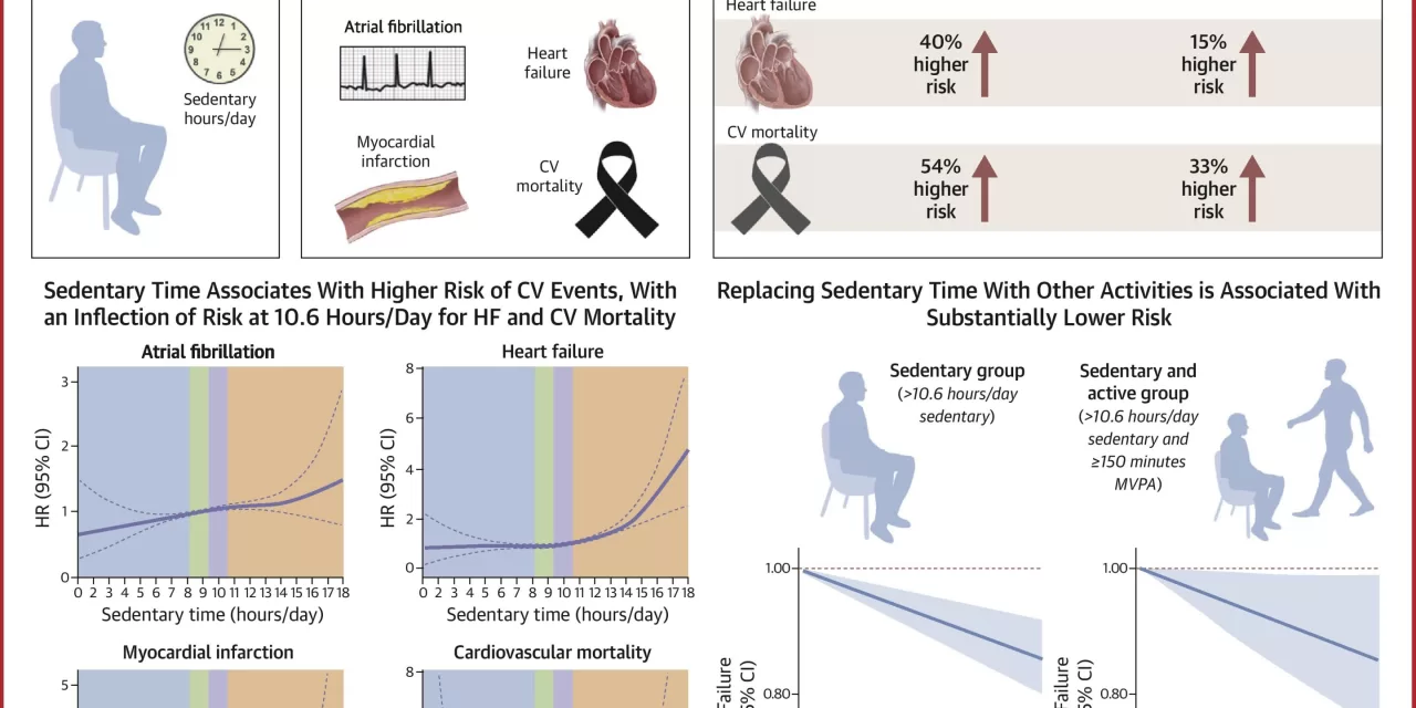 Prolonged Sitting Linked to Increased Risk of Heart Disease and Death, Even in Active Individuals