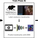 AI Tool Tracks Neurologic Changes in NICU Infants Using Video Data Alone