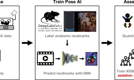 AI Tool Tracks Neurologic Changes in NICU Infants Using Video Data Alone