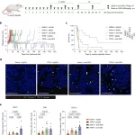 Copper-Repurposing Drug Offers New Hope for Treating Rare Childhood Cancer