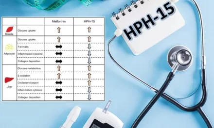 New Diabetes Wonder-Drug Slashes Fat and Blood Sugar, Outperforms Metformin