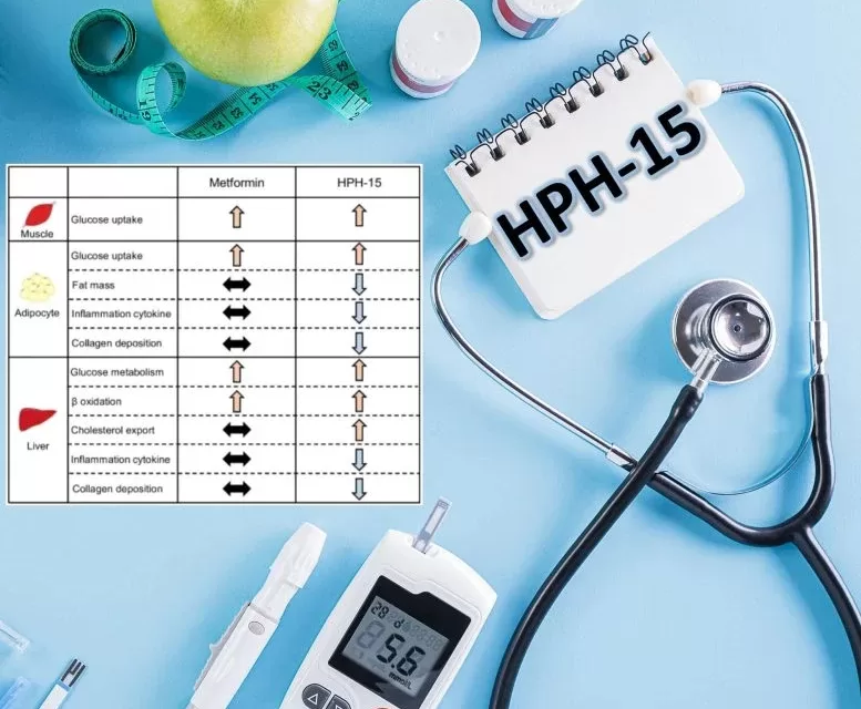 New Diabetes Wonder-Drug Slashes Fat and Blood Sugar, Outperforms Metformin