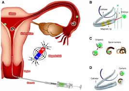 Tiny Robots, Big Impact: Revolutionizing Infertility Treatment with Magnetic Microrobots