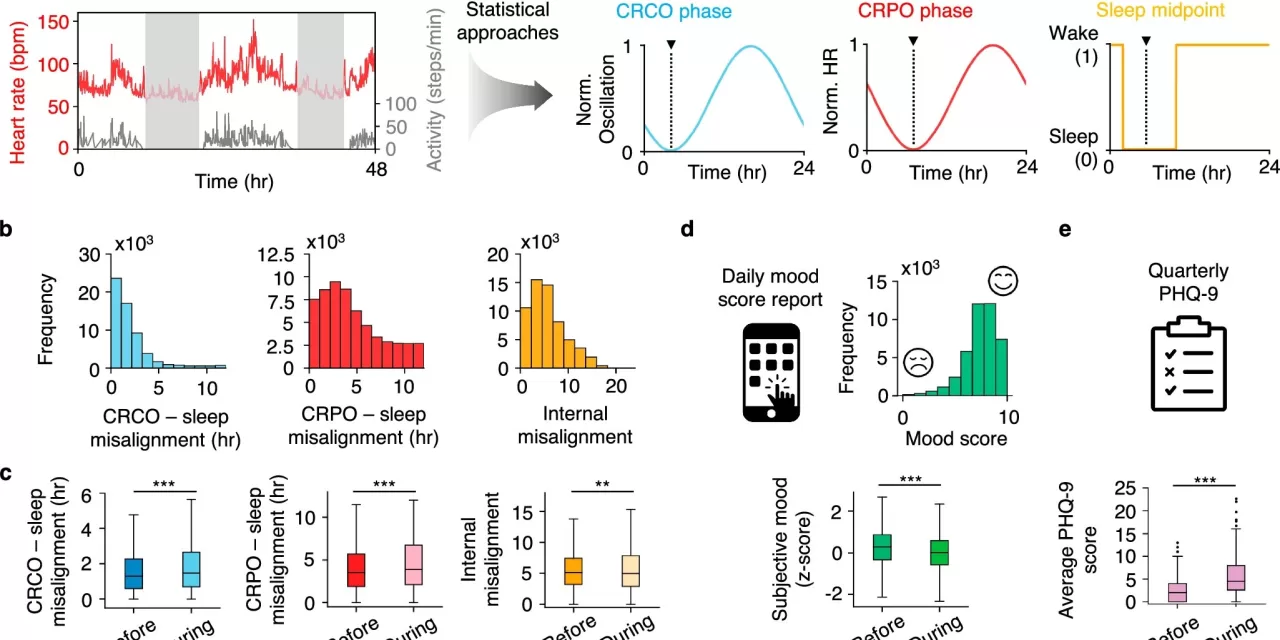 Getting in Sync: Wearables Reveal Happiest Times to Sleep