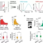 Getting in Sync: Wearables Reveal Happiest Times to Sleep