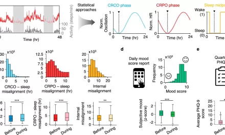 Getting in Sync: Wearables Reveal Happiest Times to Sleep