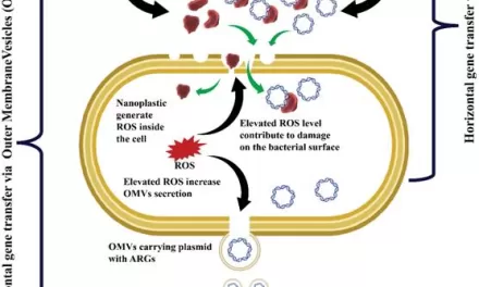 Nanoplastics: An Emerging Threat in the Fight Against Antibiotic Resistance