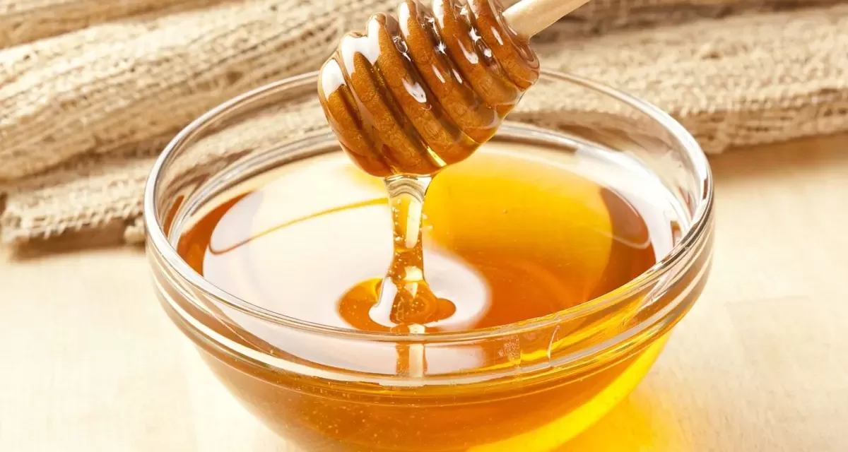 Nature’s Sweet Remedy: Honey as a Microbial Marvel