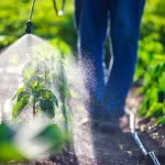 Study Links Common Farming Pesticides to Increased Risk of Rheumatoid Arthritis