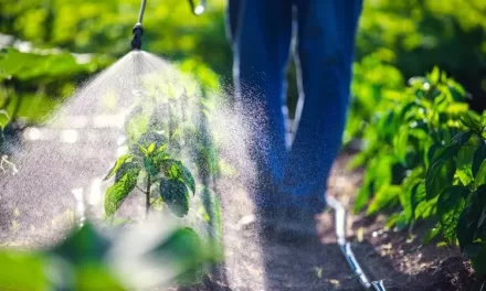 Study Links Common Farming Pesticides to Increased Risk of Rheumatoid Arthritis