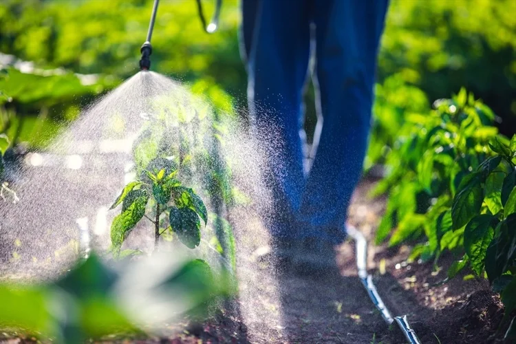 Study Links Common Farming Pesticides to Increased Risk of Rheumatoid Arthritis